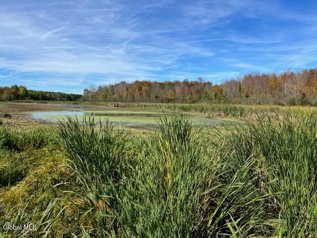 L27 Duanesburg Road — photo 2