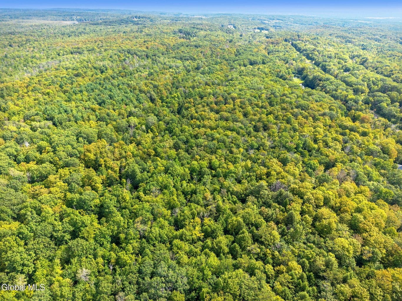 L100 Skyline Drive — photo 1