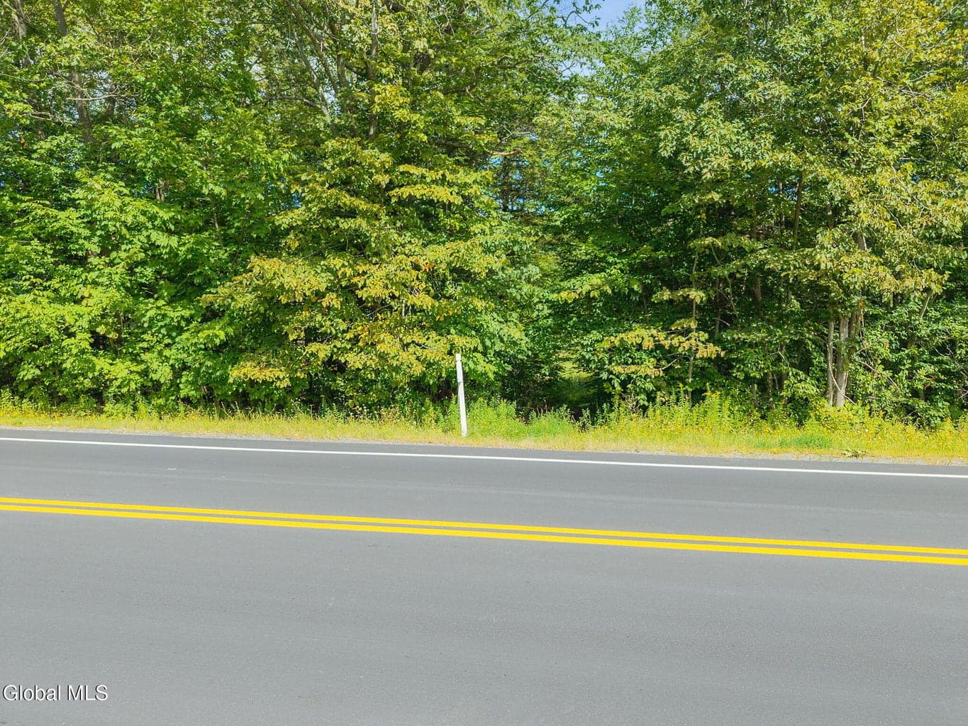 L100 Skyline Drive — photo 2